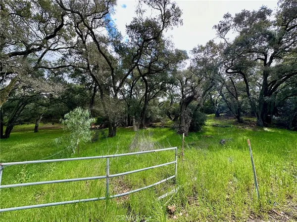 a view of backyard with green space