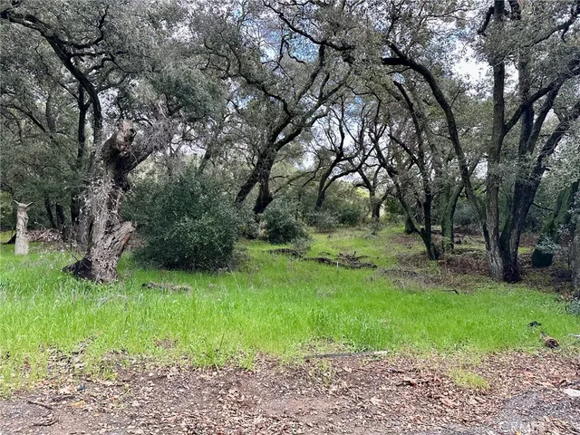 a view of park space