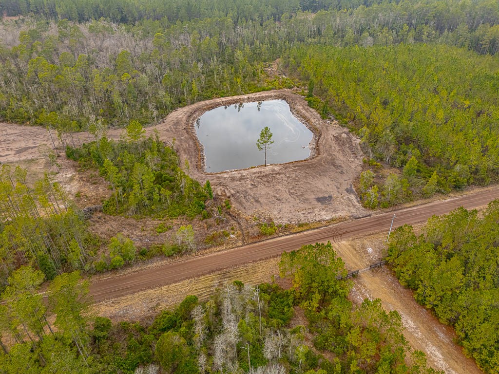918 Chimney Rock Road White Oak, GA 31568 - Photo 9 of 24