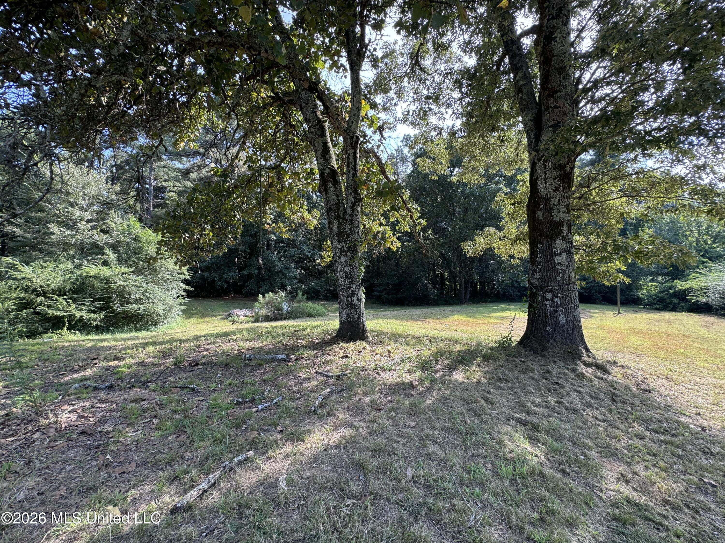 323 Burton Road Holly Springs, MS 38635 - Photo 12 of 15 7253
