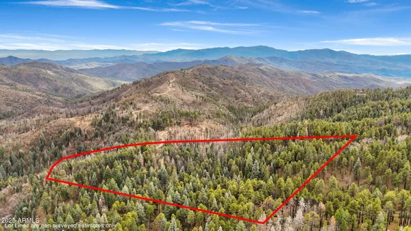 a view of a mountain range with lush green forest
