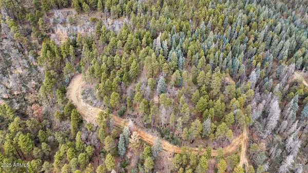 a view of a backyard of the house