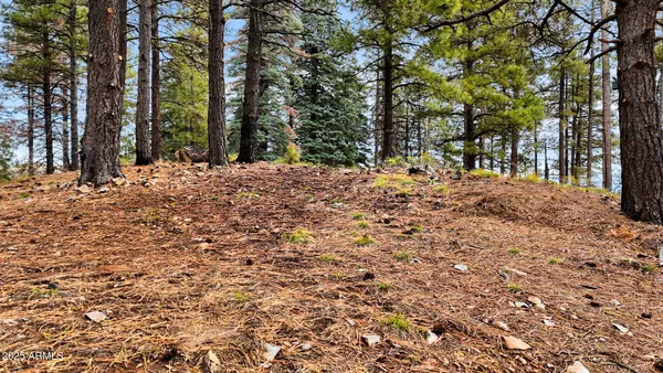 a street view covered with snow