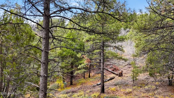 a view of a mountain