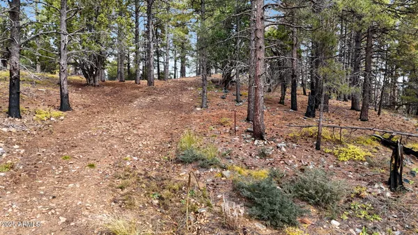 a view of a backyard of the house