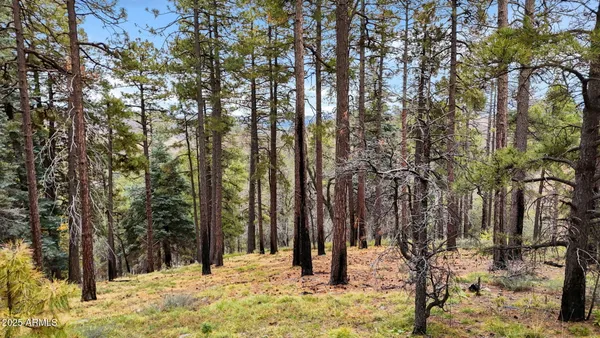 a view of a mountain range in a cloudy sky