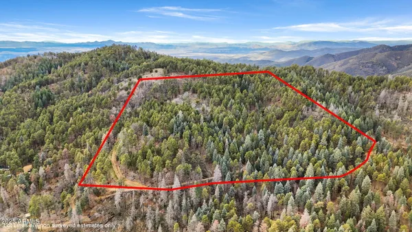 a view of a city with lush green forest