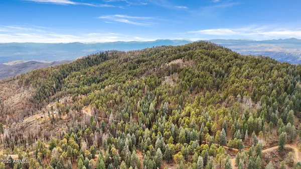 a view of a lot of flowers and trees