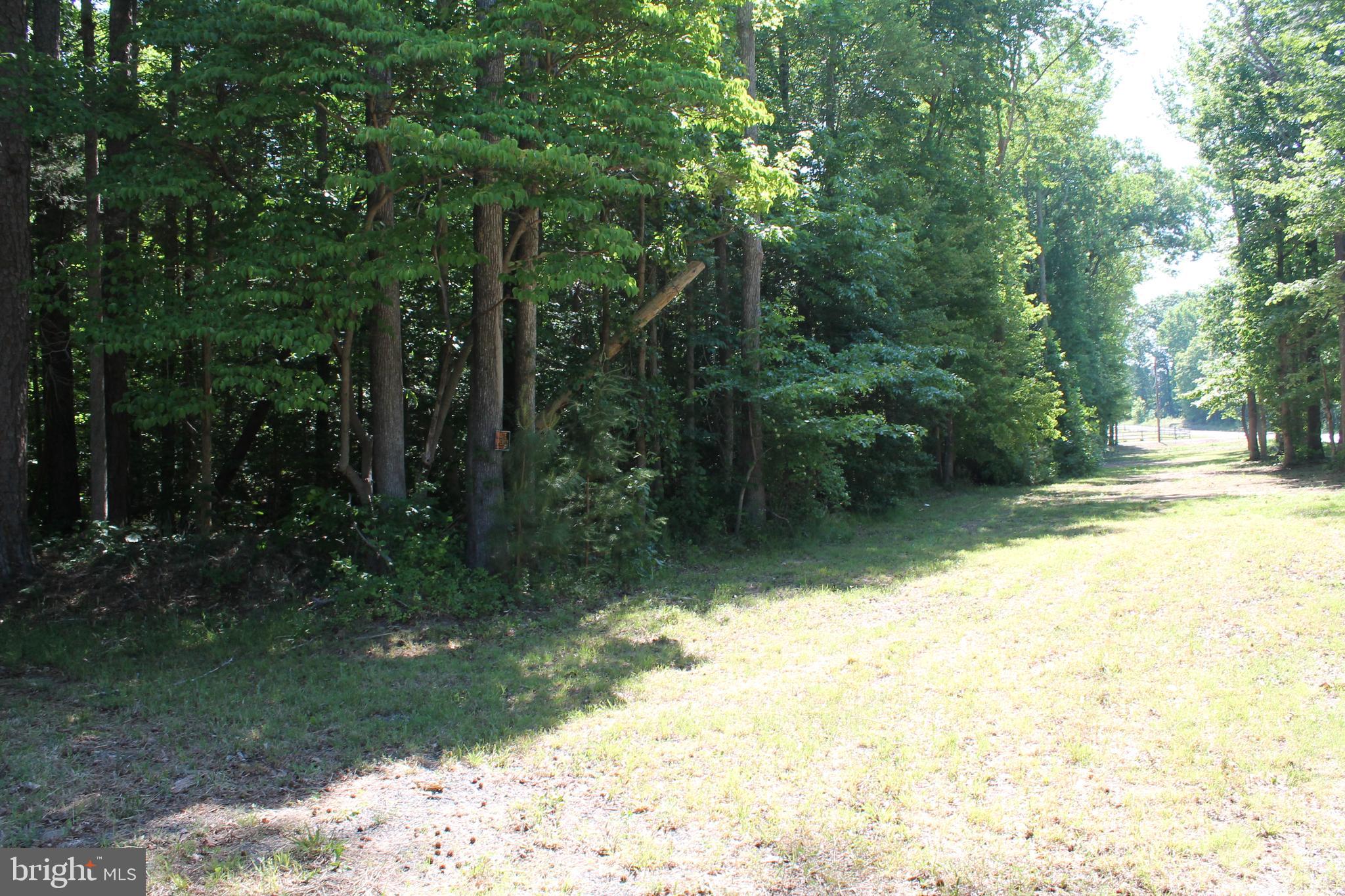 6031 Hickory Ridge Road Spotsylvania, VA 22551 - Photo 27 of 28