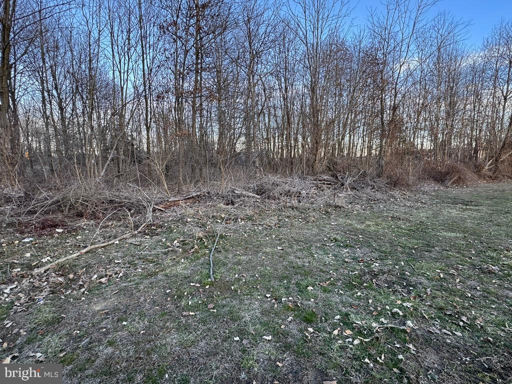 283 Lobo Road Harrington, DE 19952 - Photo 51 of 54 Gallery Image 51