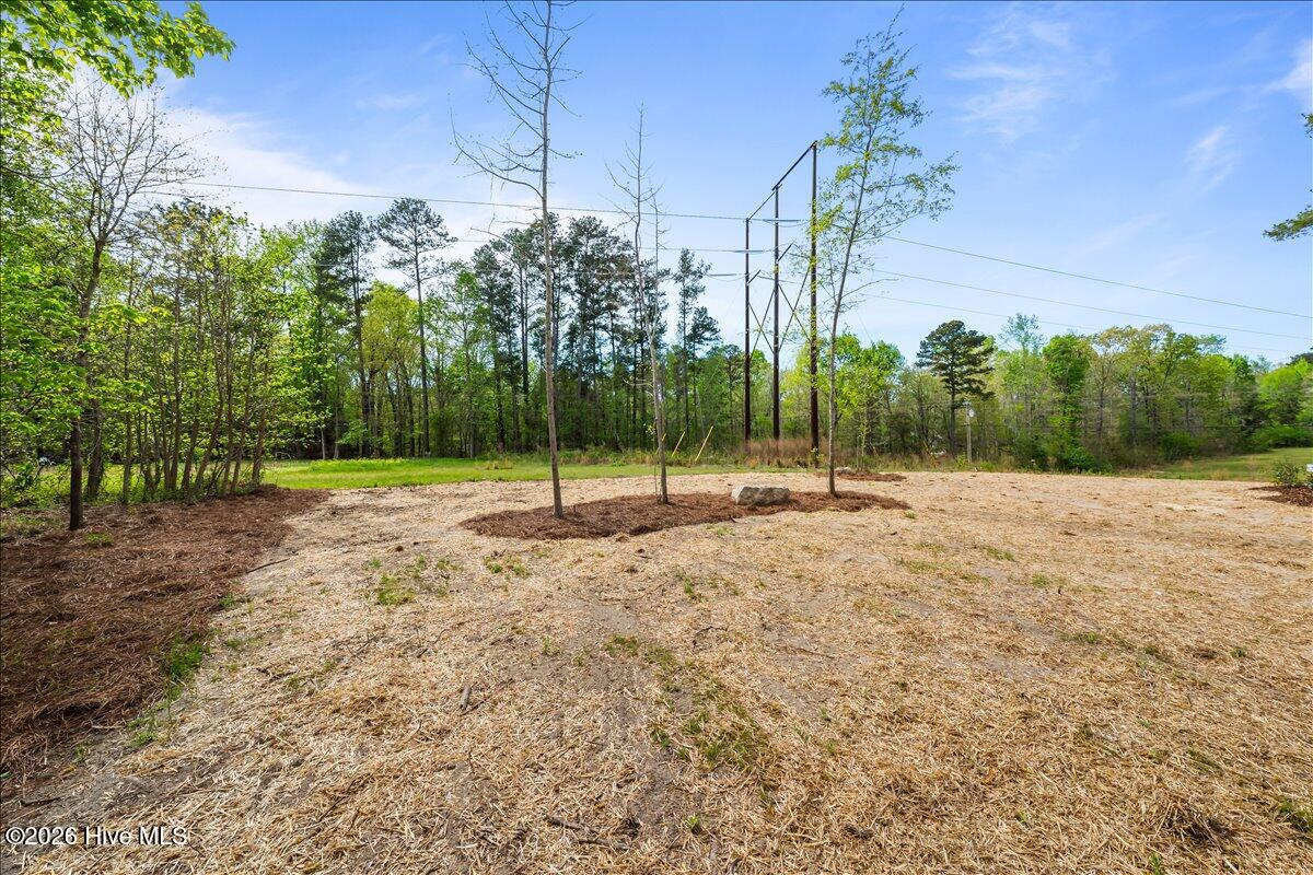 110 Trailcrest Drive Rockingham, NC 28379 - Photo 9 of 48 09-DSC09438