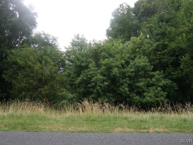Paxinosa Rd Forks East Easton, PA 18042 - Photo 1 of 5 a view of a yard
