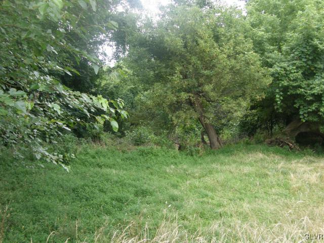 Paxinosa Rd Forks East Easton, PA 18042 - Photo 3 of 5 a view of a lush green forest