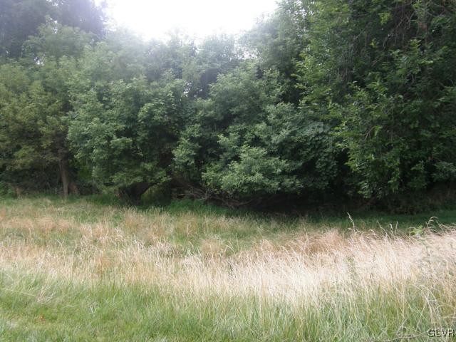 Paxinosa Rd Forks East Easton, PA 18042 - Photo 4 of 5 a view of lake background with a yard