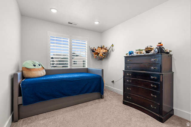 2706 West Maple Street, Unit 285 Mapleton, UT 84664 - Photo 22 of 36 Neutral wall paint and carpeted flooring
