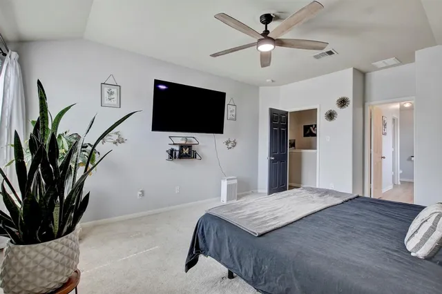 a room with furniture and a potted plant