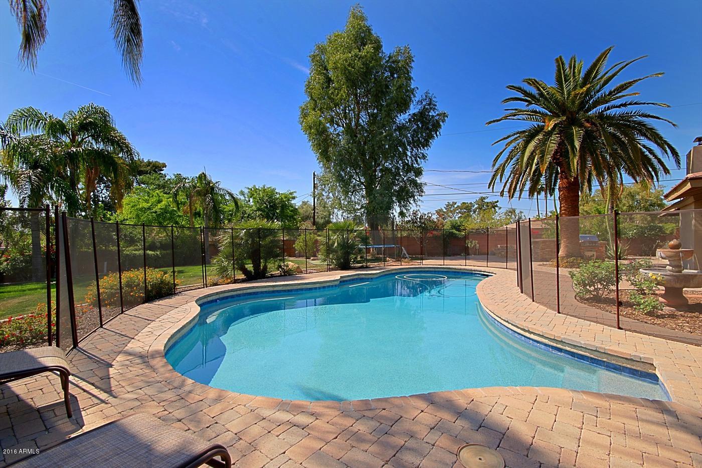 2315 East Rancho Drive Phoenix, AZ 85016 - Photo 44 of 50 Backyard/Pool