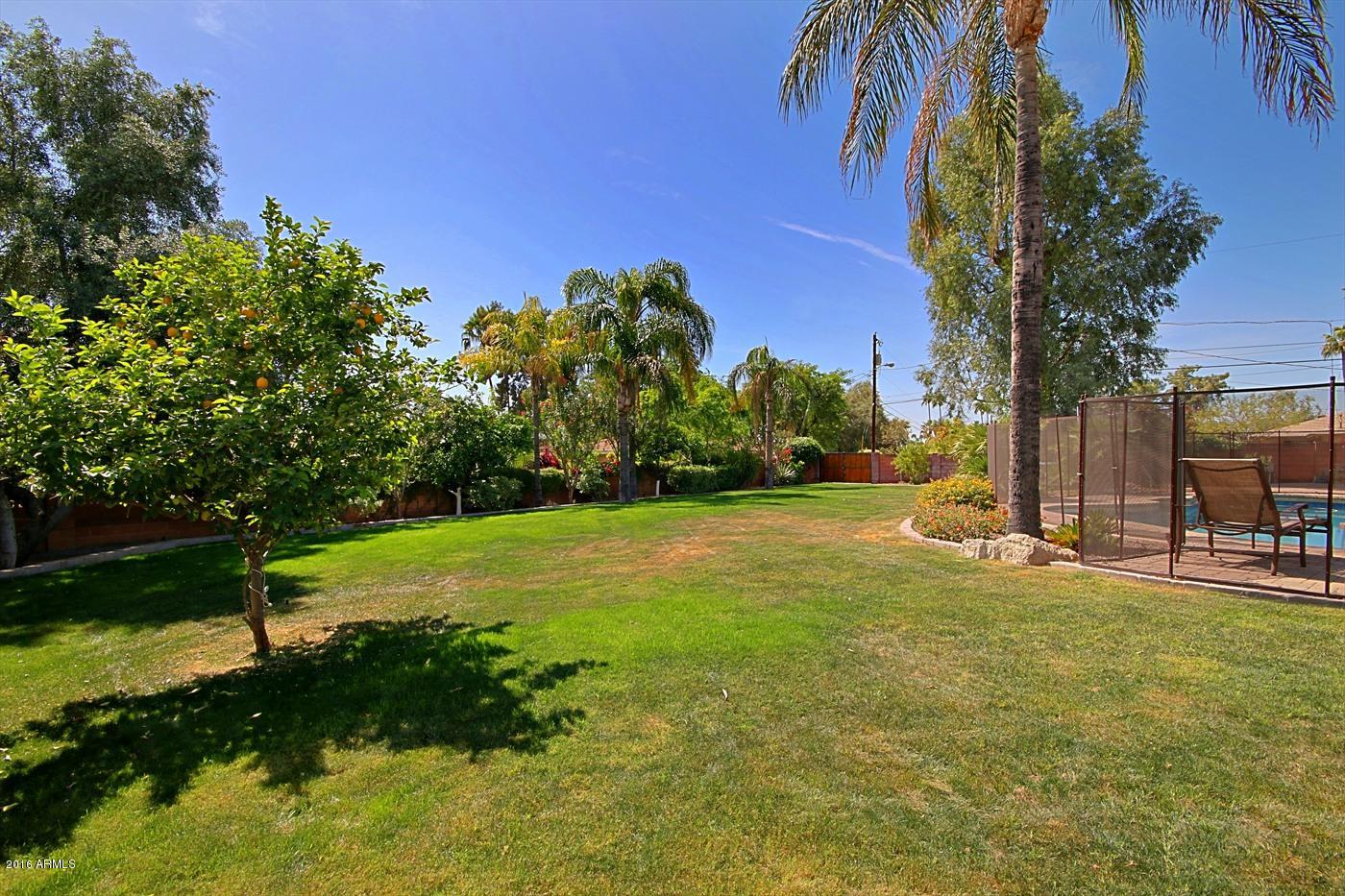 2315 East Rancho Drive Phoenix, AZ 85016 - Photo 45 of 50 Backyard