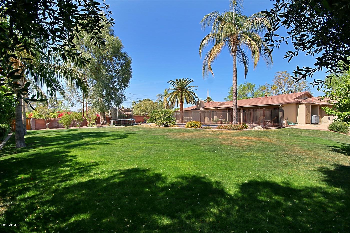 2315 East Rancho Drive Phoenix, AZ 85016 - Photo 46 of 50 Backyard