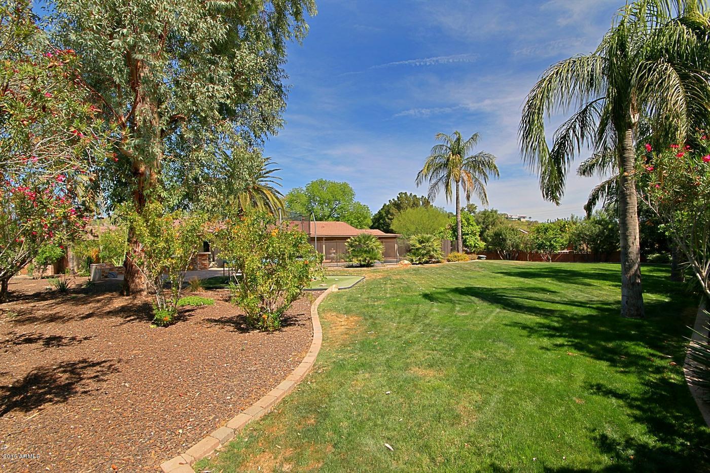 2315 East Rancho Drive Phoenix, AZ 85016 - Photo 47 of 50 Backyard