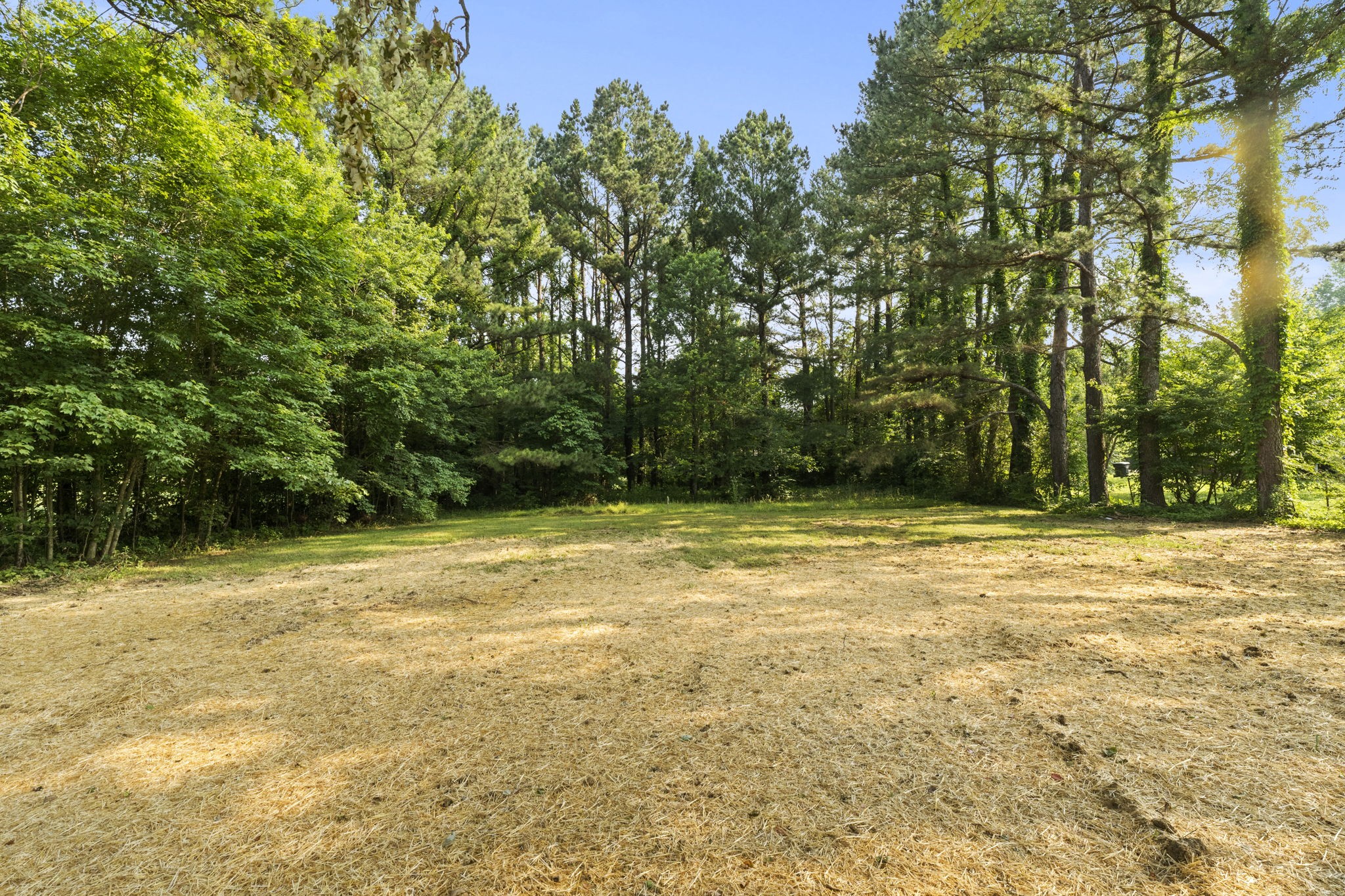 204 Point Road Portland, TN 37148 - Photo 33 of 51 a view of a yard with a trees