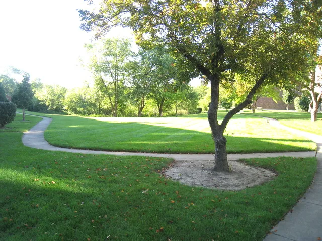 a sign of golf club on a wall under a tree