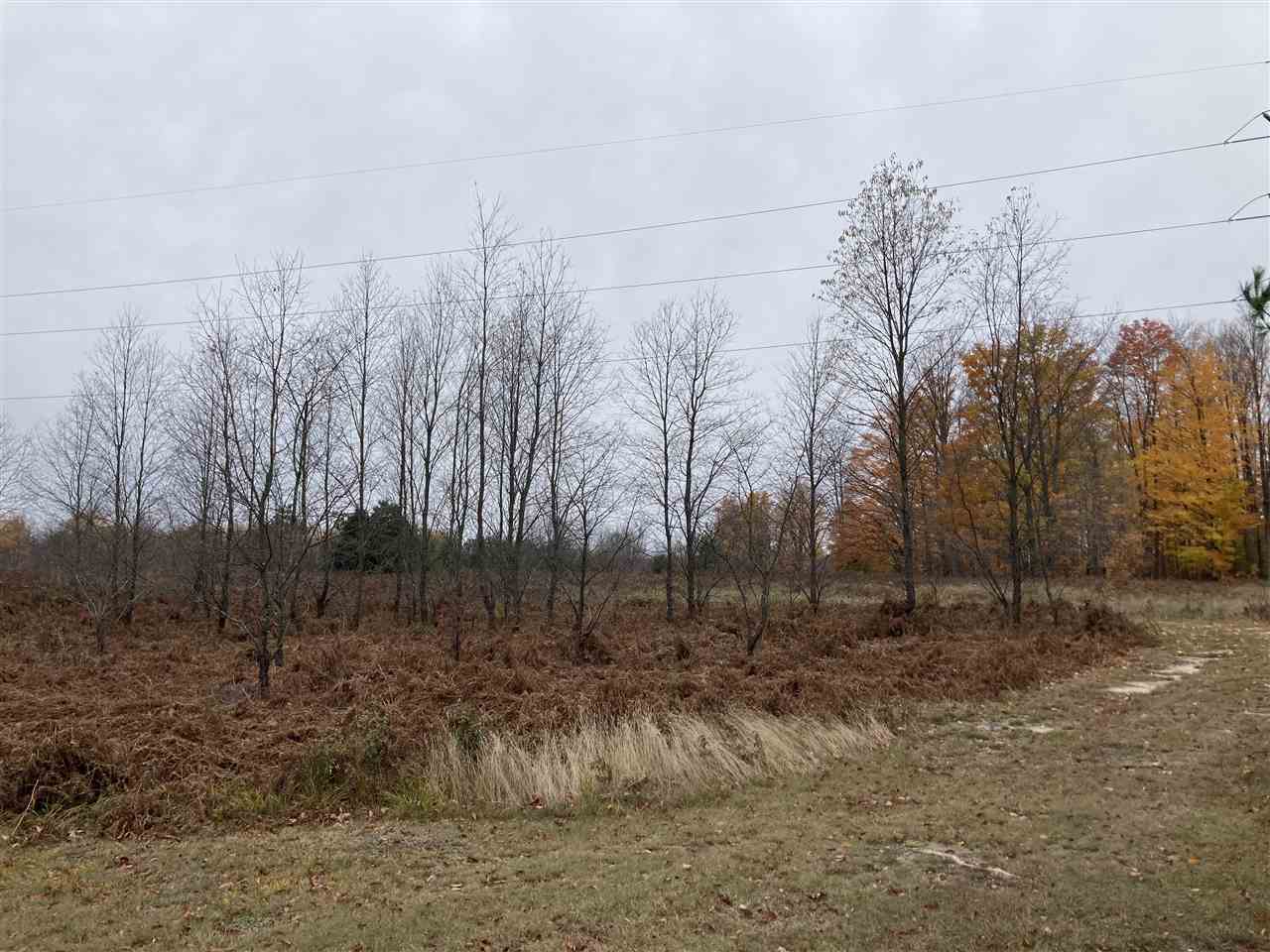 23458 Adams Road Copemish, MI 49625 - Photo 52 of 58 1881277-51.JPG