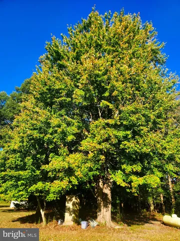 $329,900 | 28824 Adkins Road, Delmar, MD 21875