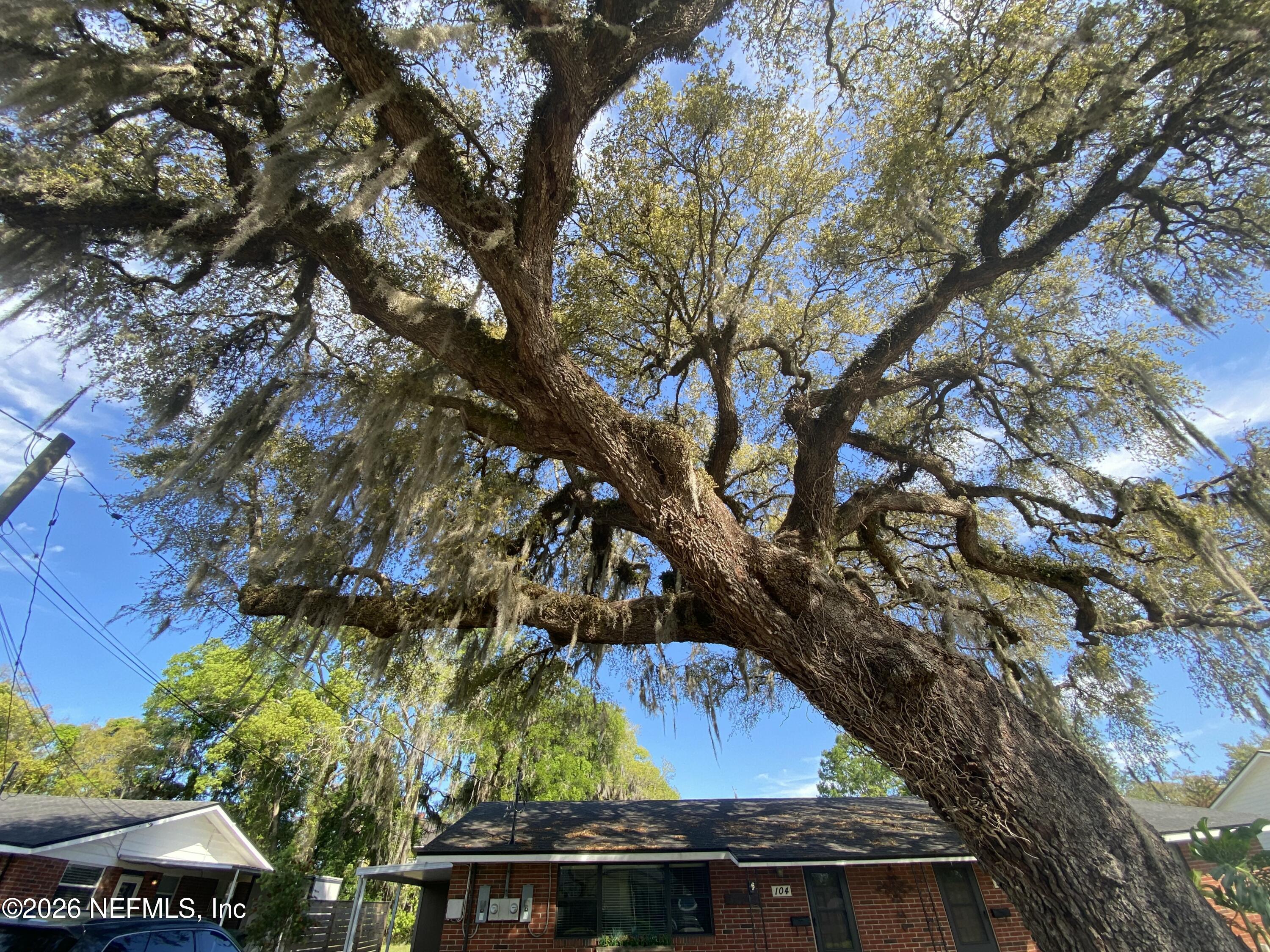 104 St Elmo Road Green Cove Springs, FL 32043 - Photo 4 of 24 a view of house with a tree