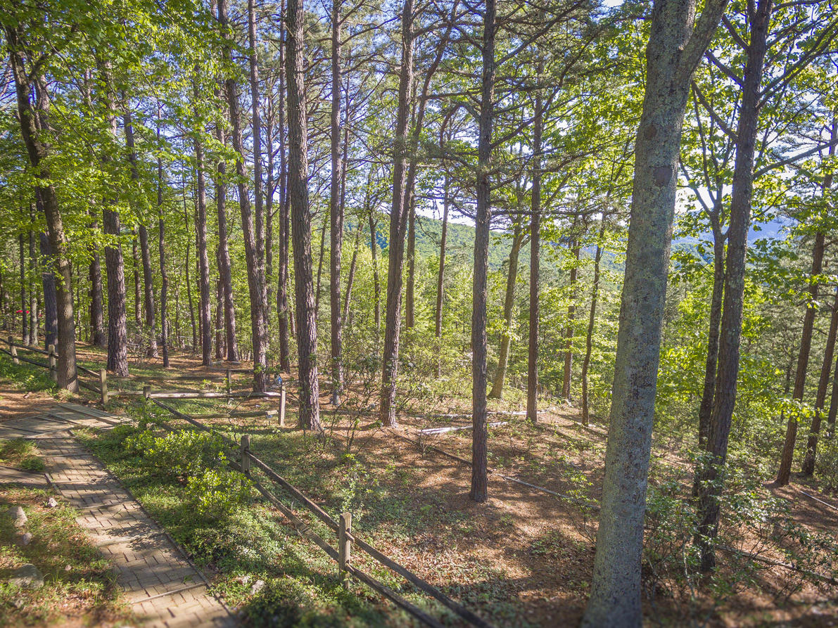 5116 Upland Game Road Roanoke, VA 24018 - Photo 45 of 55 IMG_9006