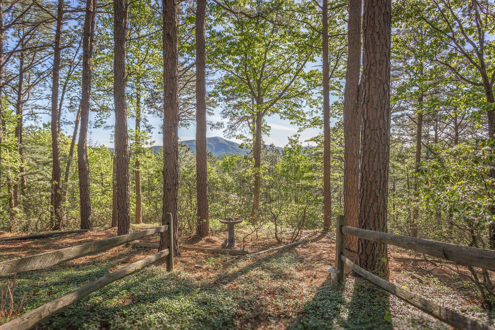 5116 Upland Game Road Roanoke, VA 24018 - Photo 48 of 55 IMG_9009