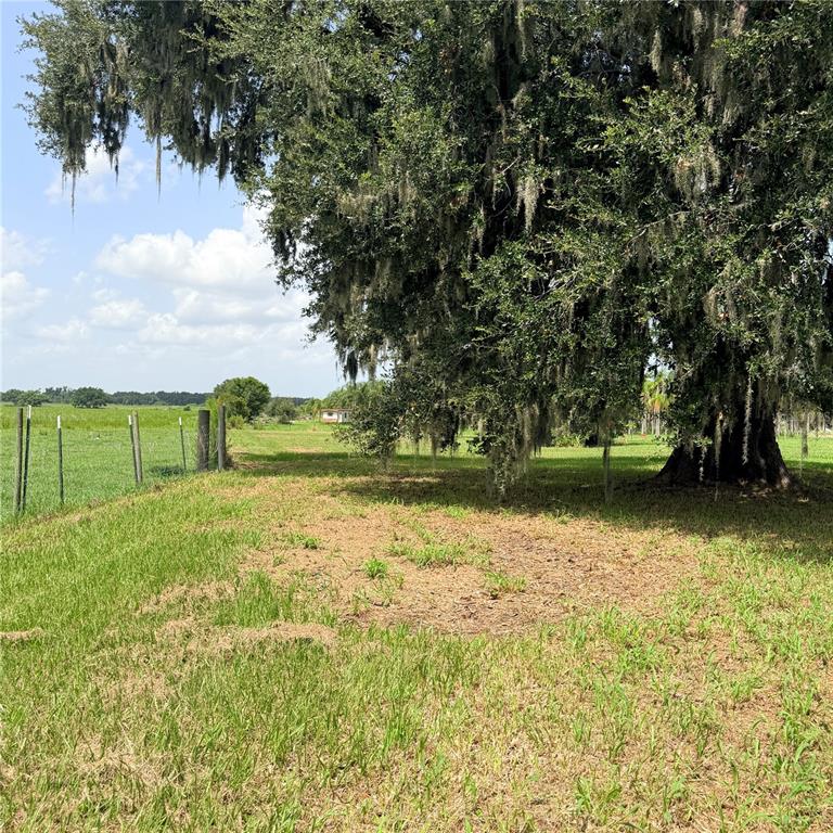15016 Scant Street Wimauma, FL 33598 - Photo 20 of 26