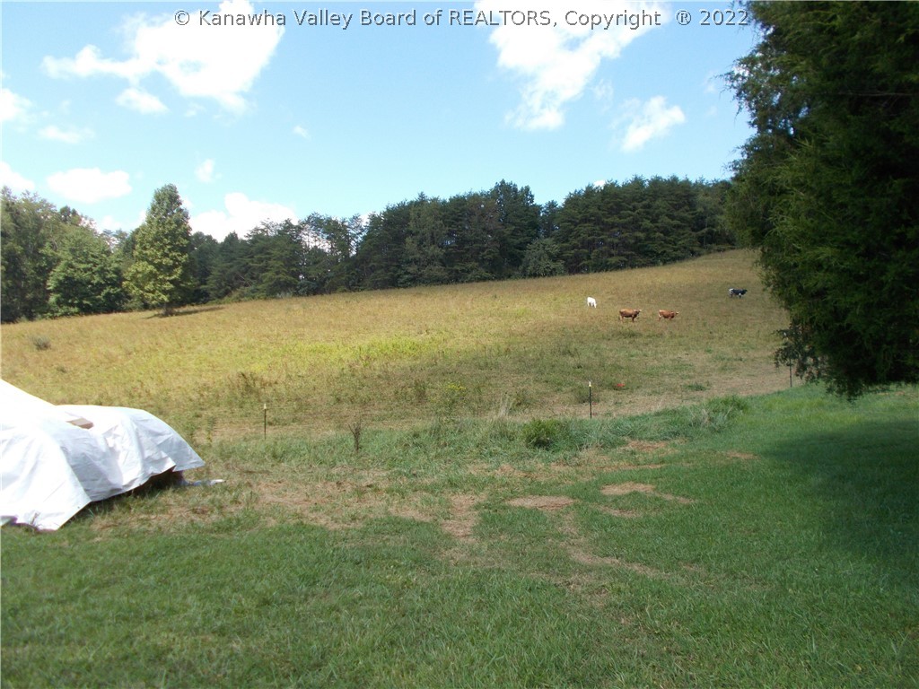 302 Mount Etna Ridge Road Poca, WV 25159 - Photo 9 of 26 Gallery Image 9