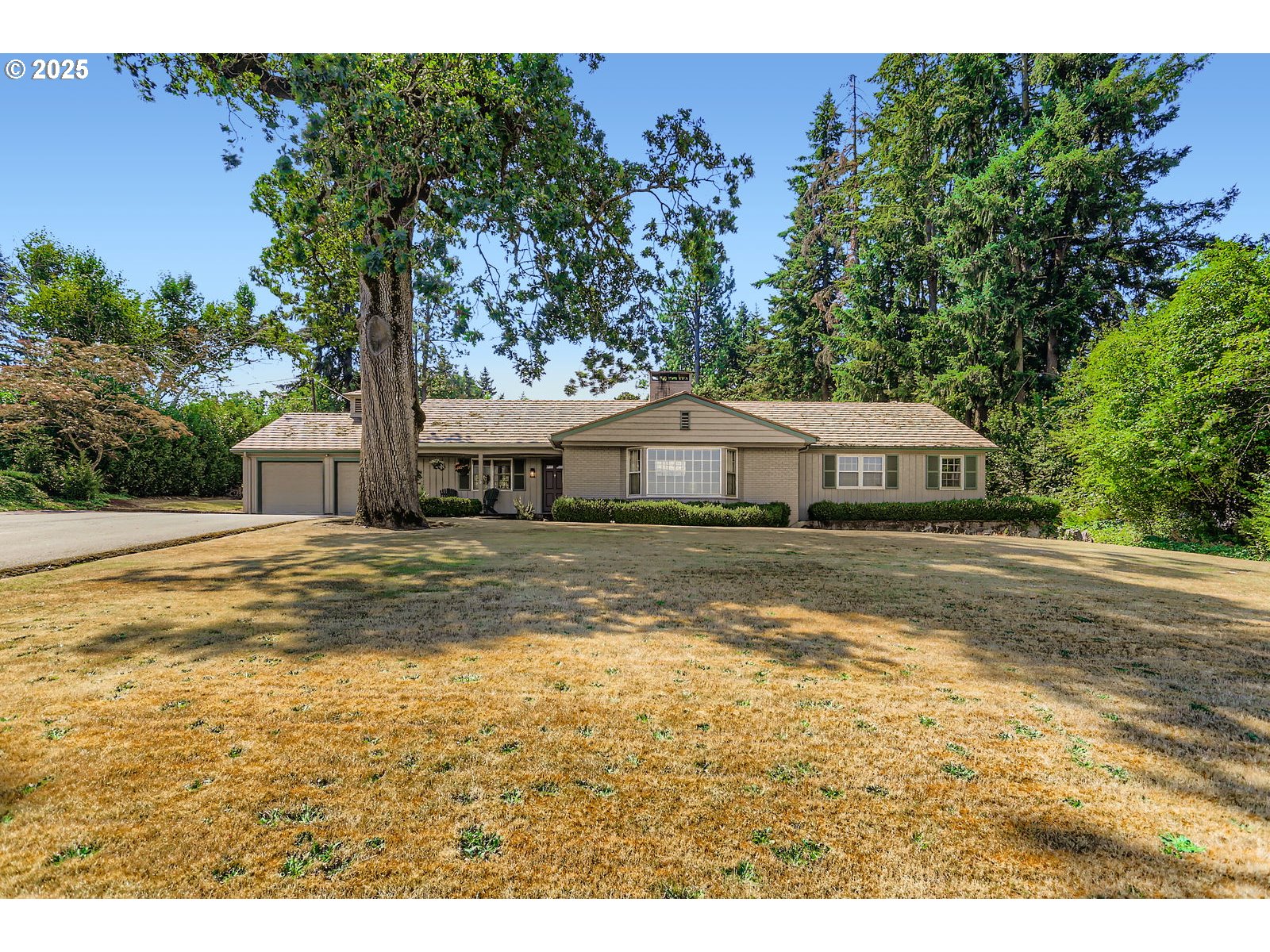 a view of house with garden and tall trees