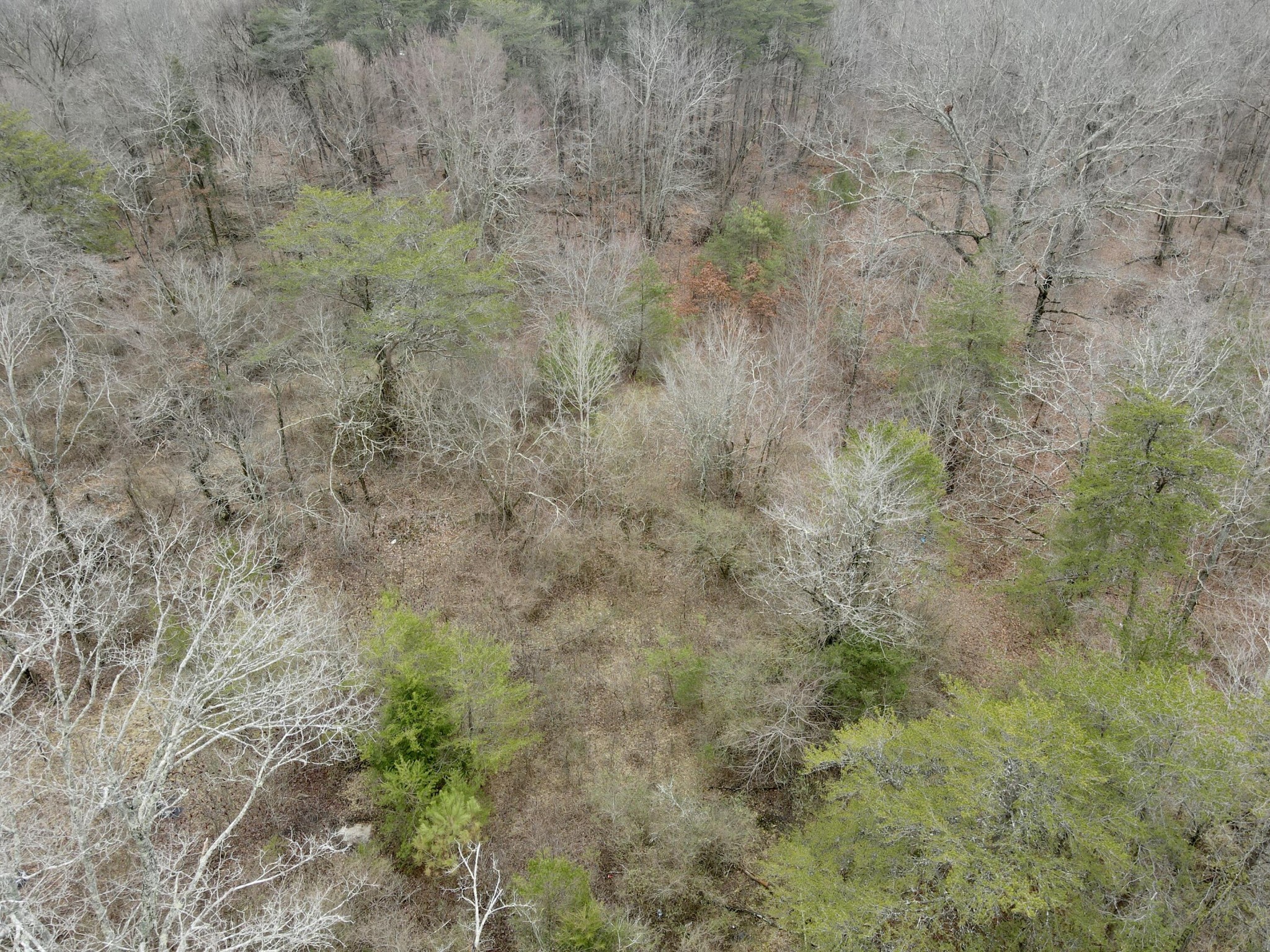 0 Monteagle Falls Road Monteagle, TN 37356 - Photo 15 of 37