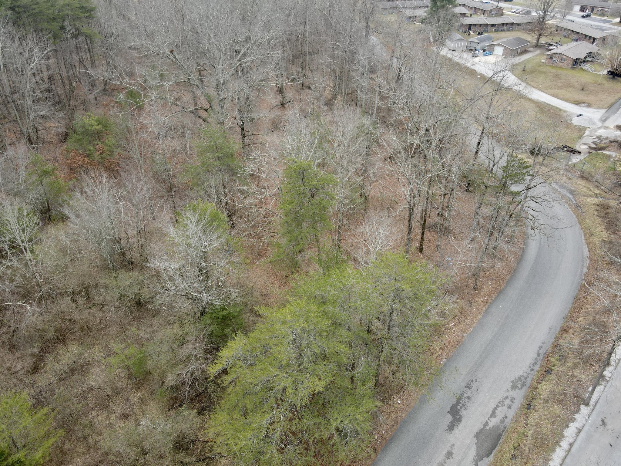 0 Monteagle Falls Road Monteagle, TN 37356 - Photo 16 of 37