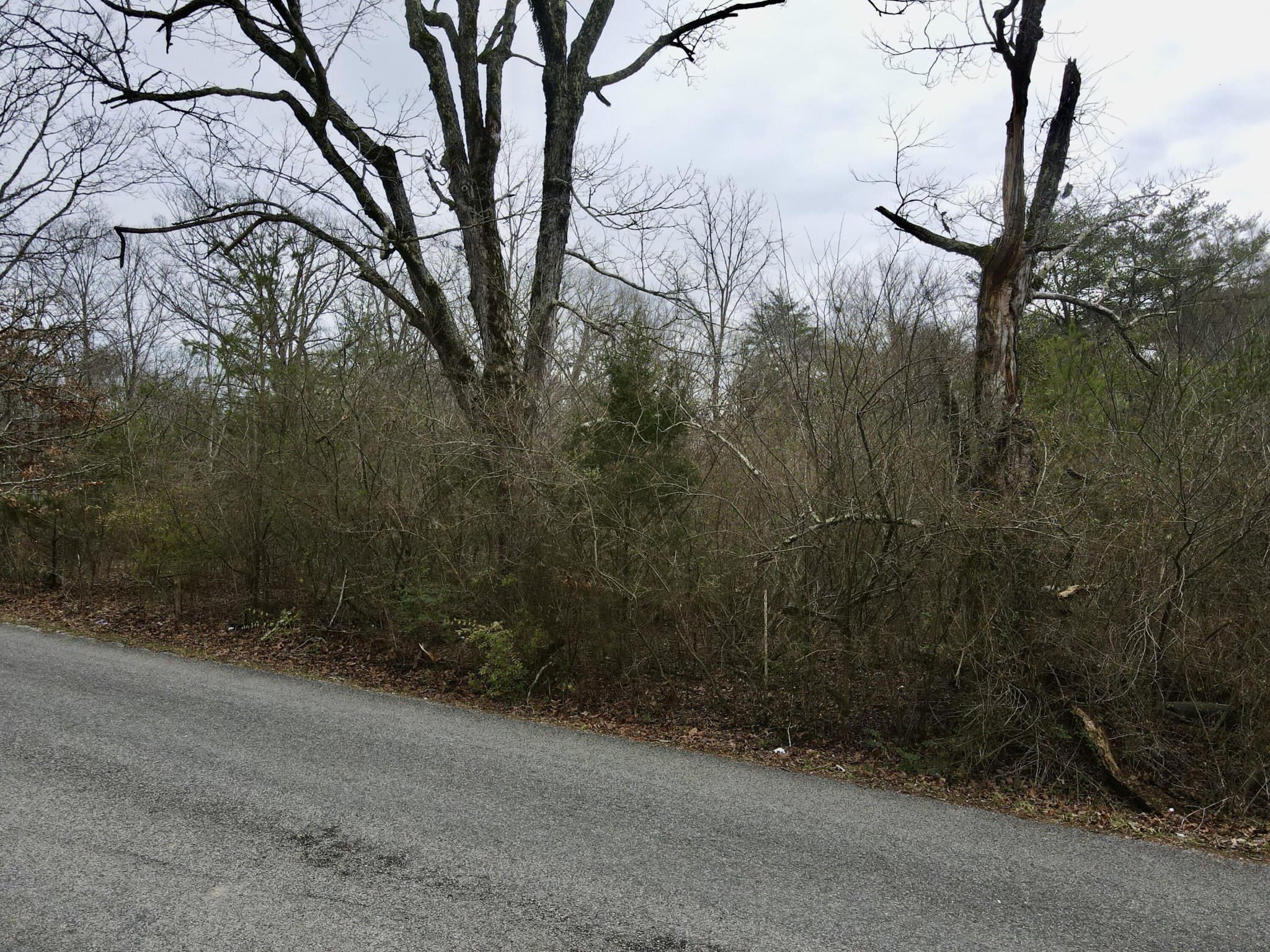 0 Monteagle Falls Road Monteagle, TN 37356 - Photo 18 of 37