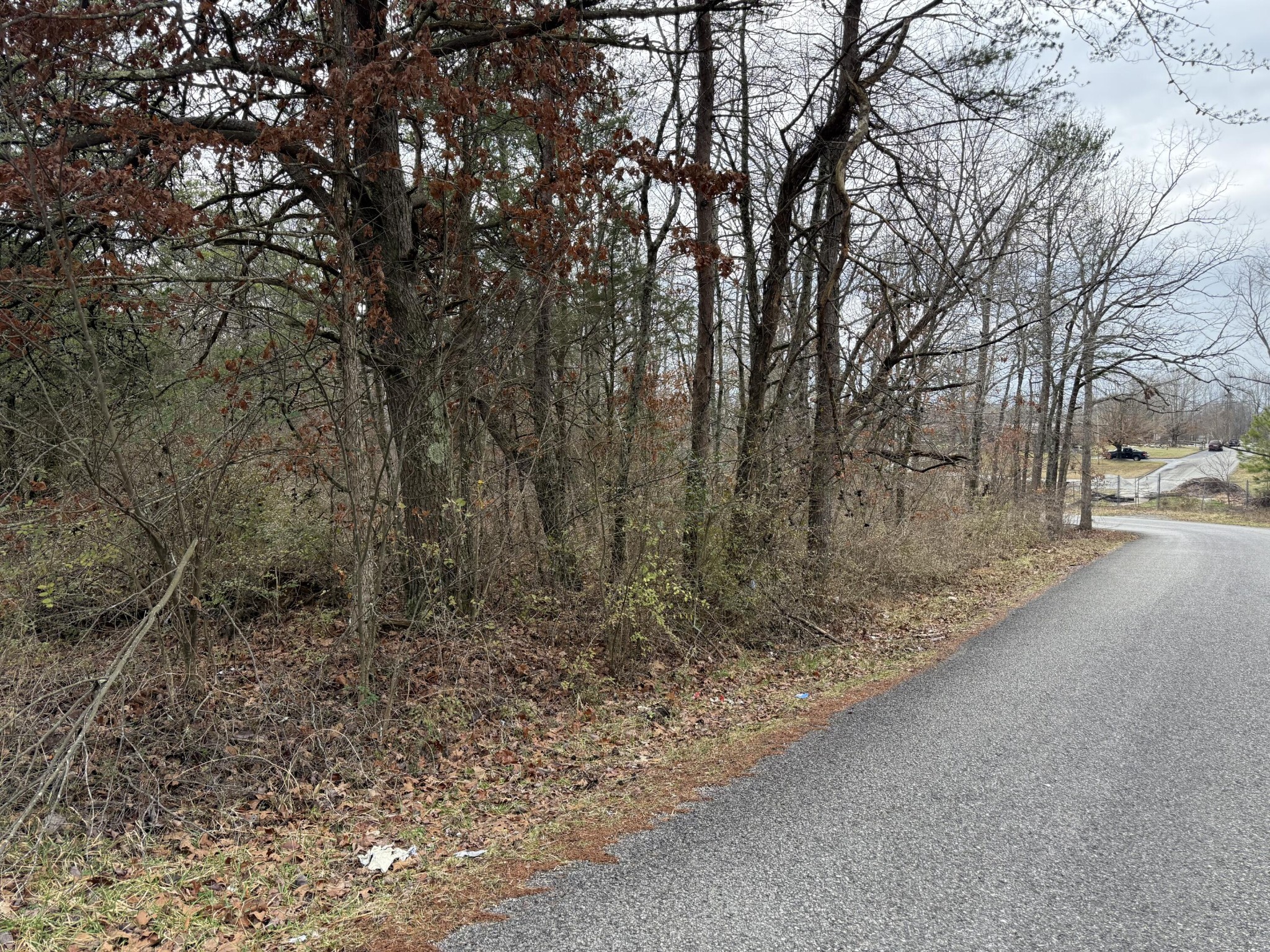 0 Monteagle Falls Road Monteagle, TN 37356 - Photo 19 of 37