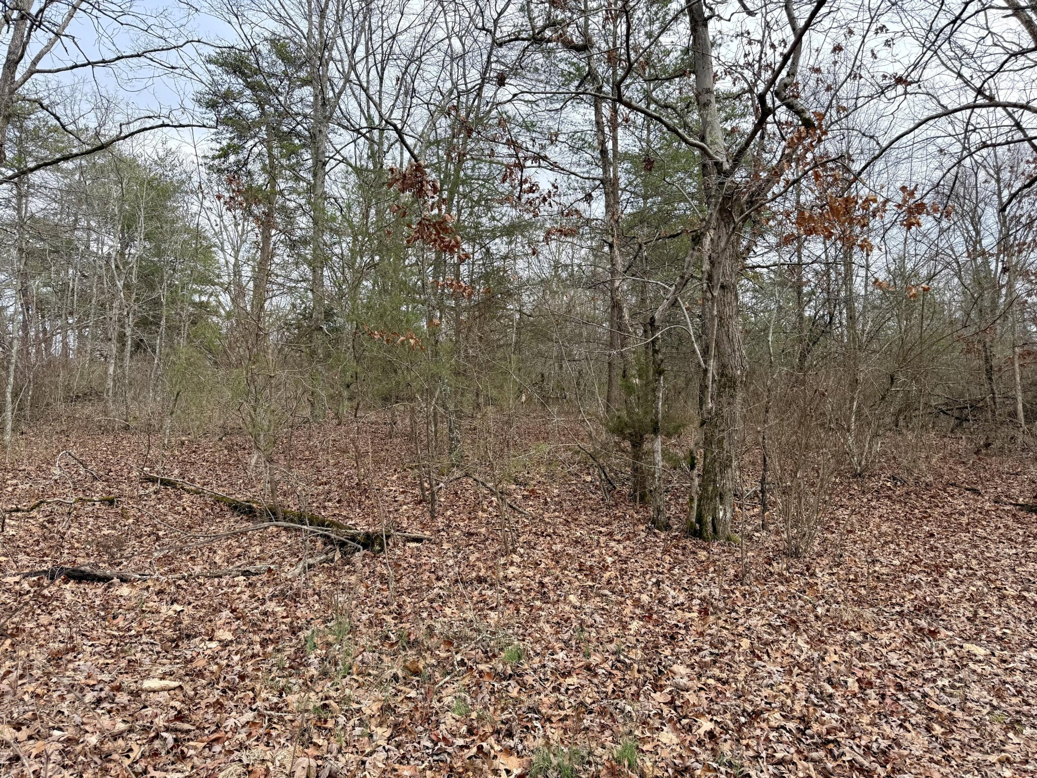 0 Monteagle Falls Road Monteagle, TN 37356 - Photo 2 of 37