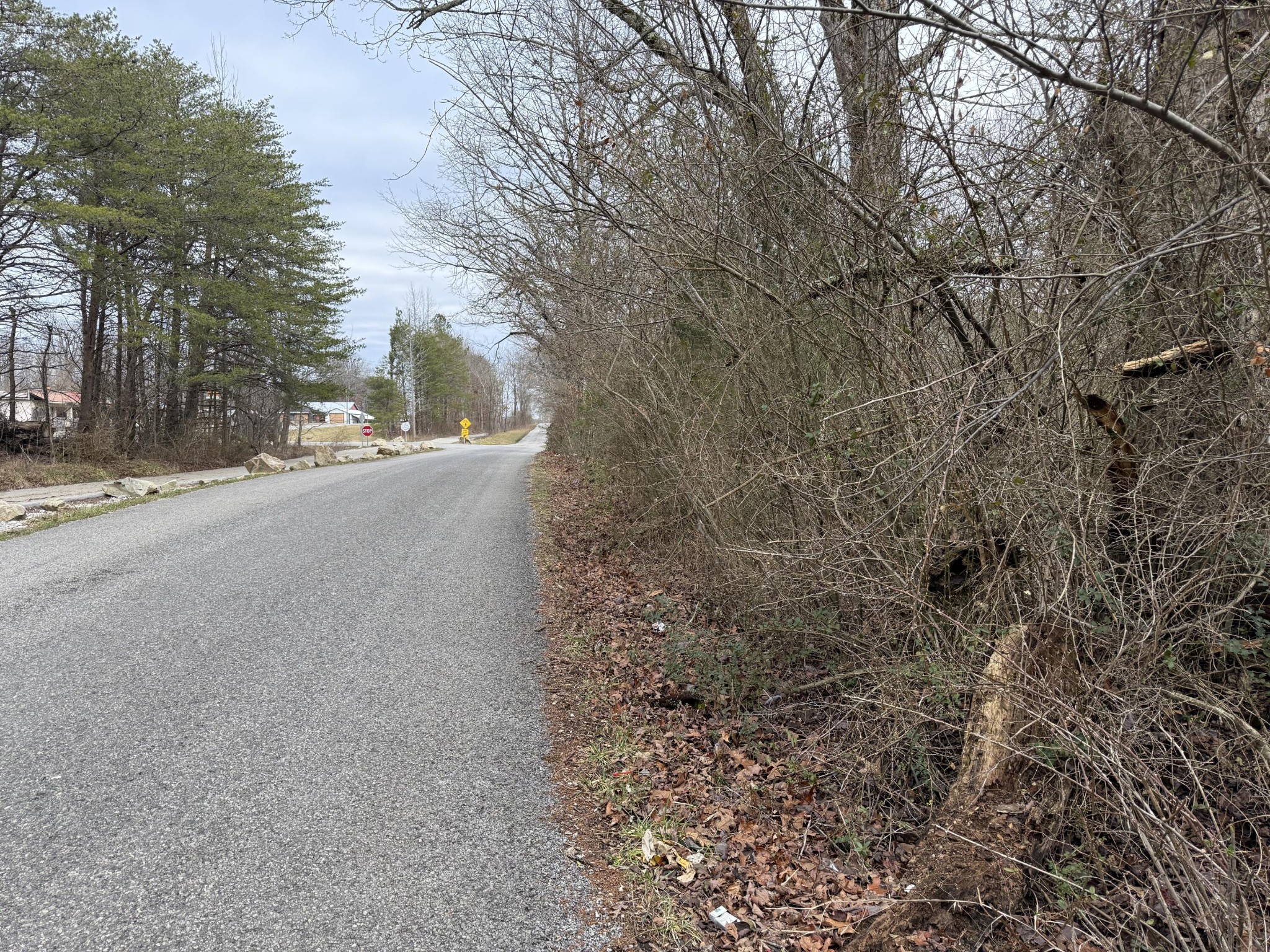 0 Monteagle Falls Road Monteagle, TN 37356 - Photo 21 of 37