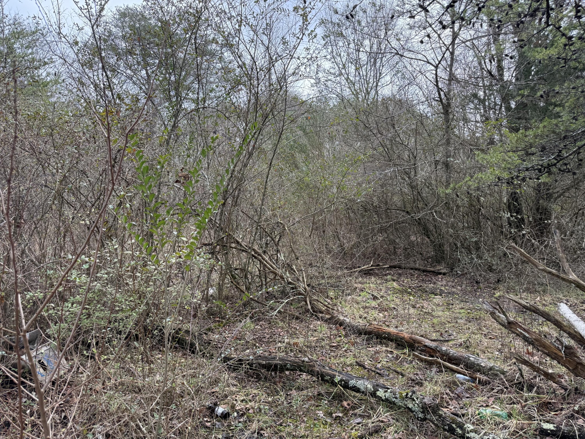 0 Monteagle Falls Road Monteagle, TN 37356 - Photo 23 of 37