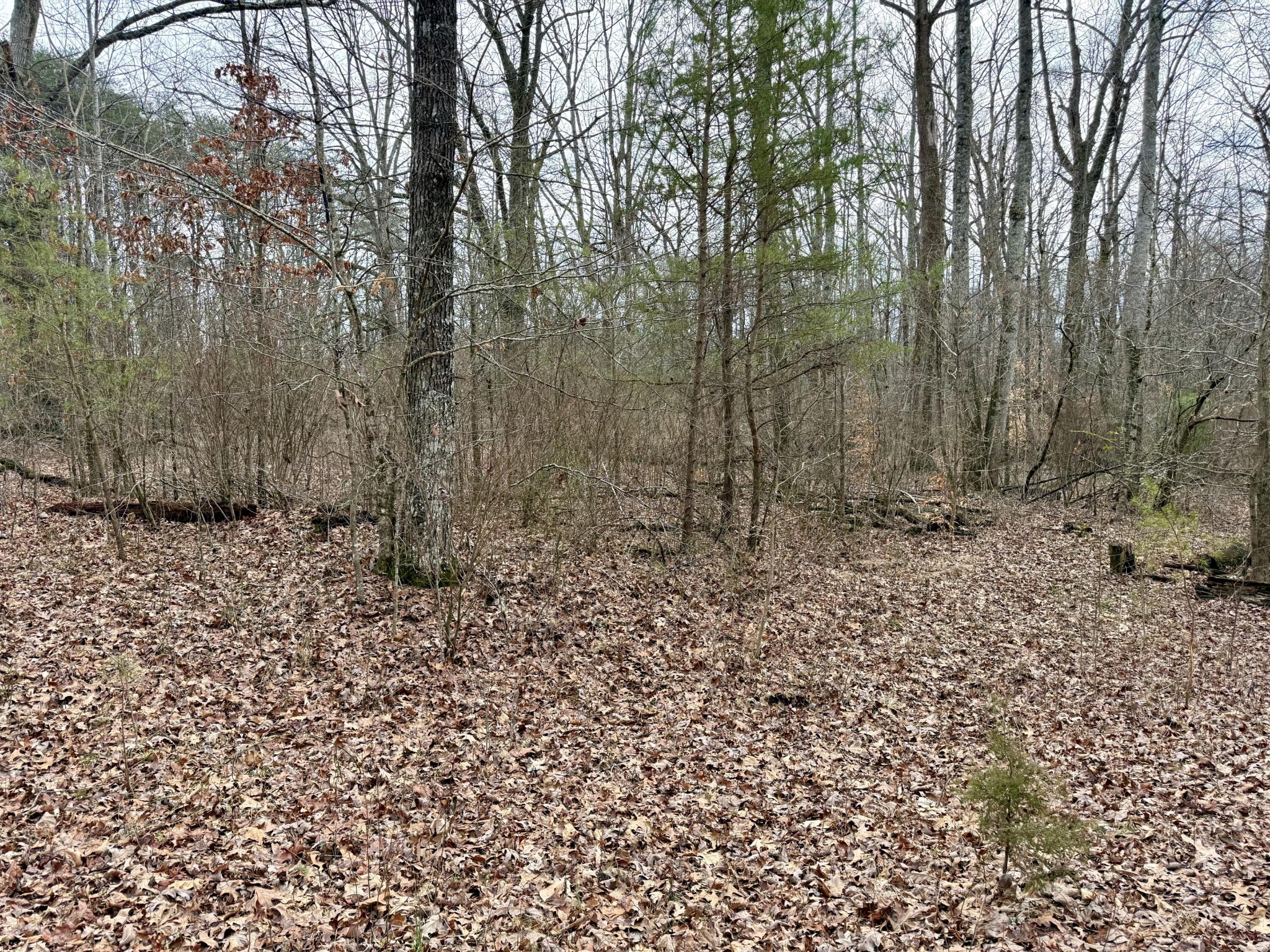 0 Monteagle Falls Road Monteagle, TN 37356 - Photo 25 of 37