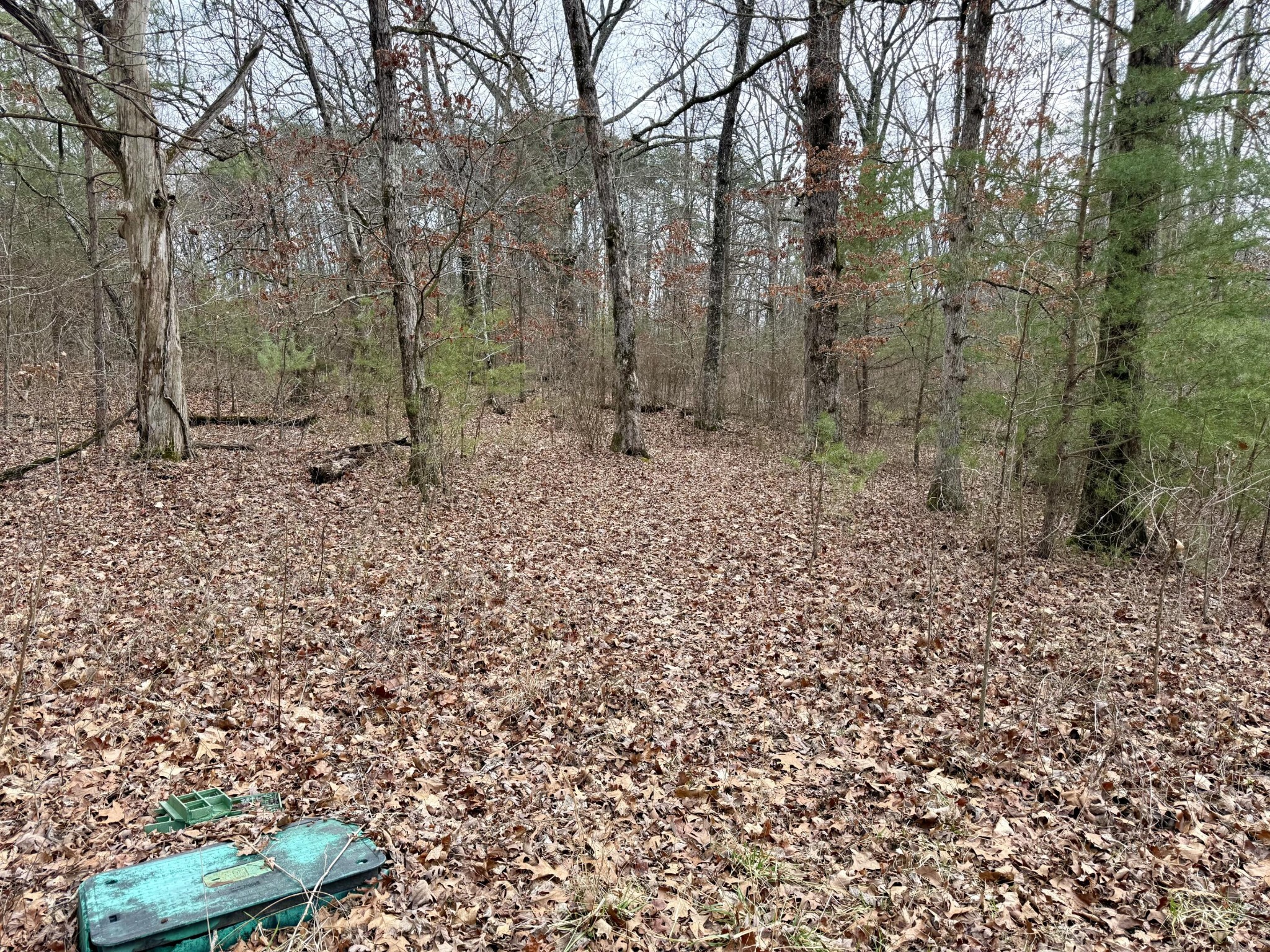 0 Monteagle Falls Road Monteagle, TN 37356 - Photo 26 of 37