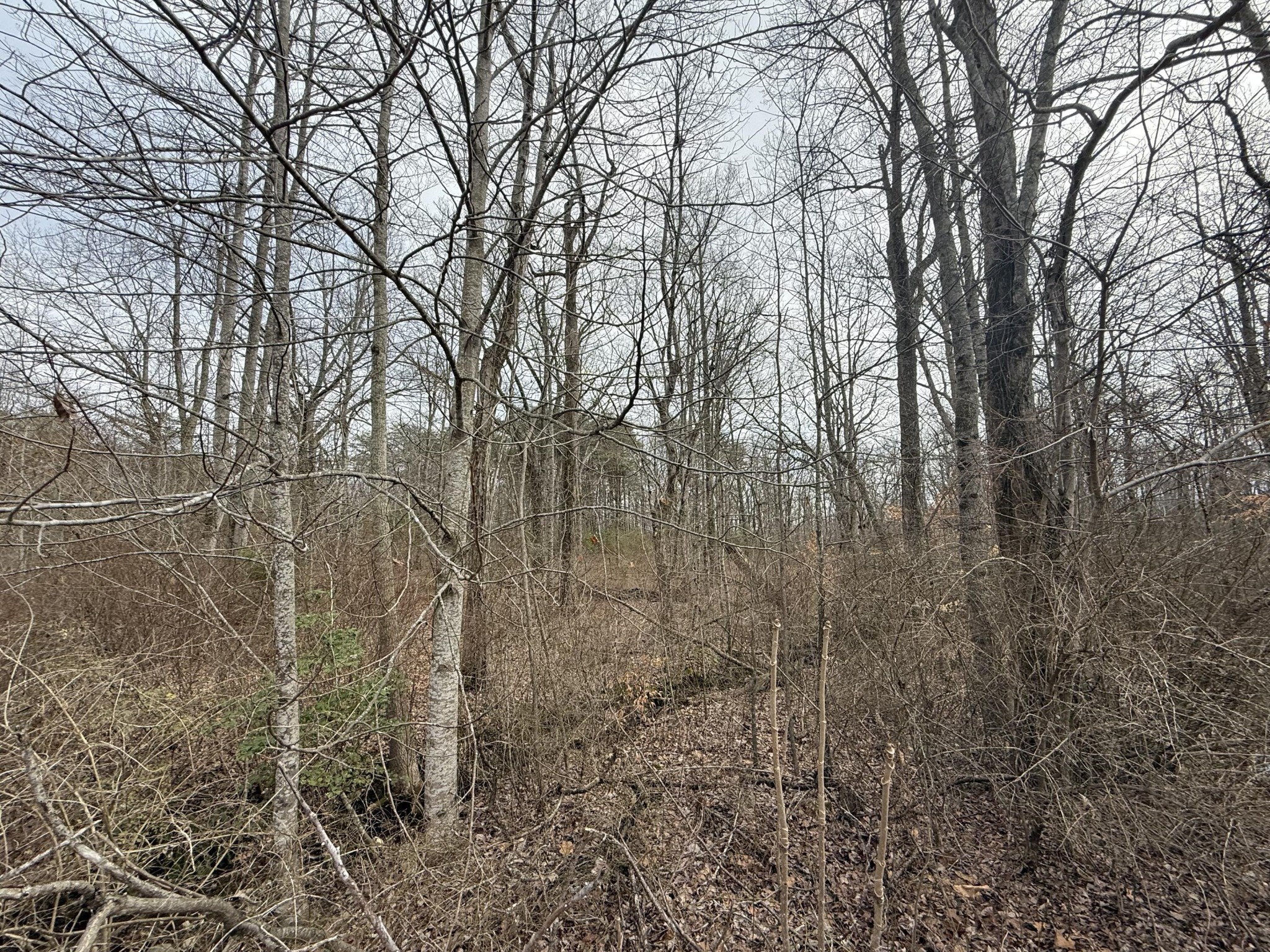 0 Monteagle Falls Road Monteagle, TN 37356 - Photo 28 of 37