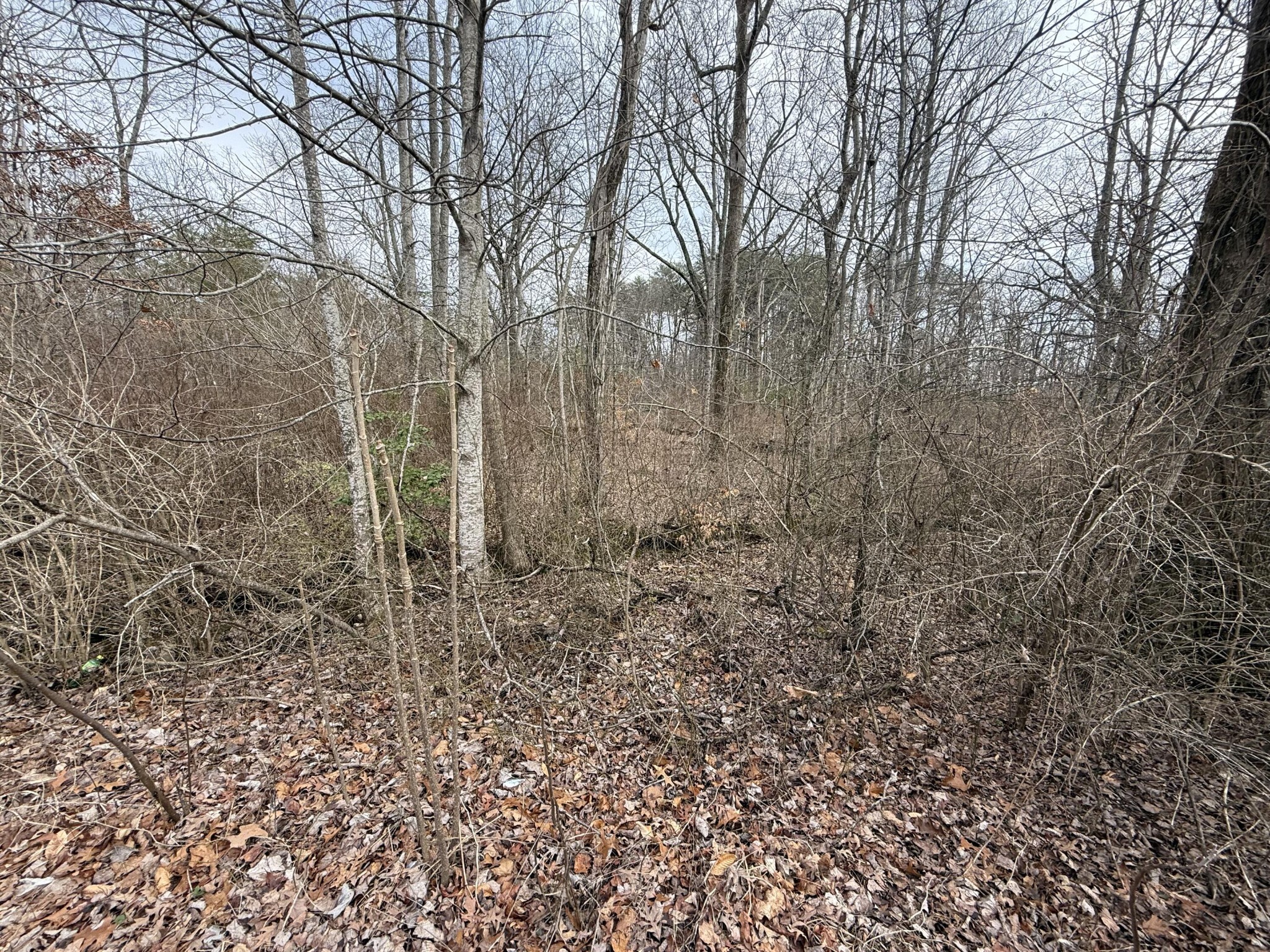 0 Monteagle Falls Road Monteagle, TN 37356 - Photo 29 of 37