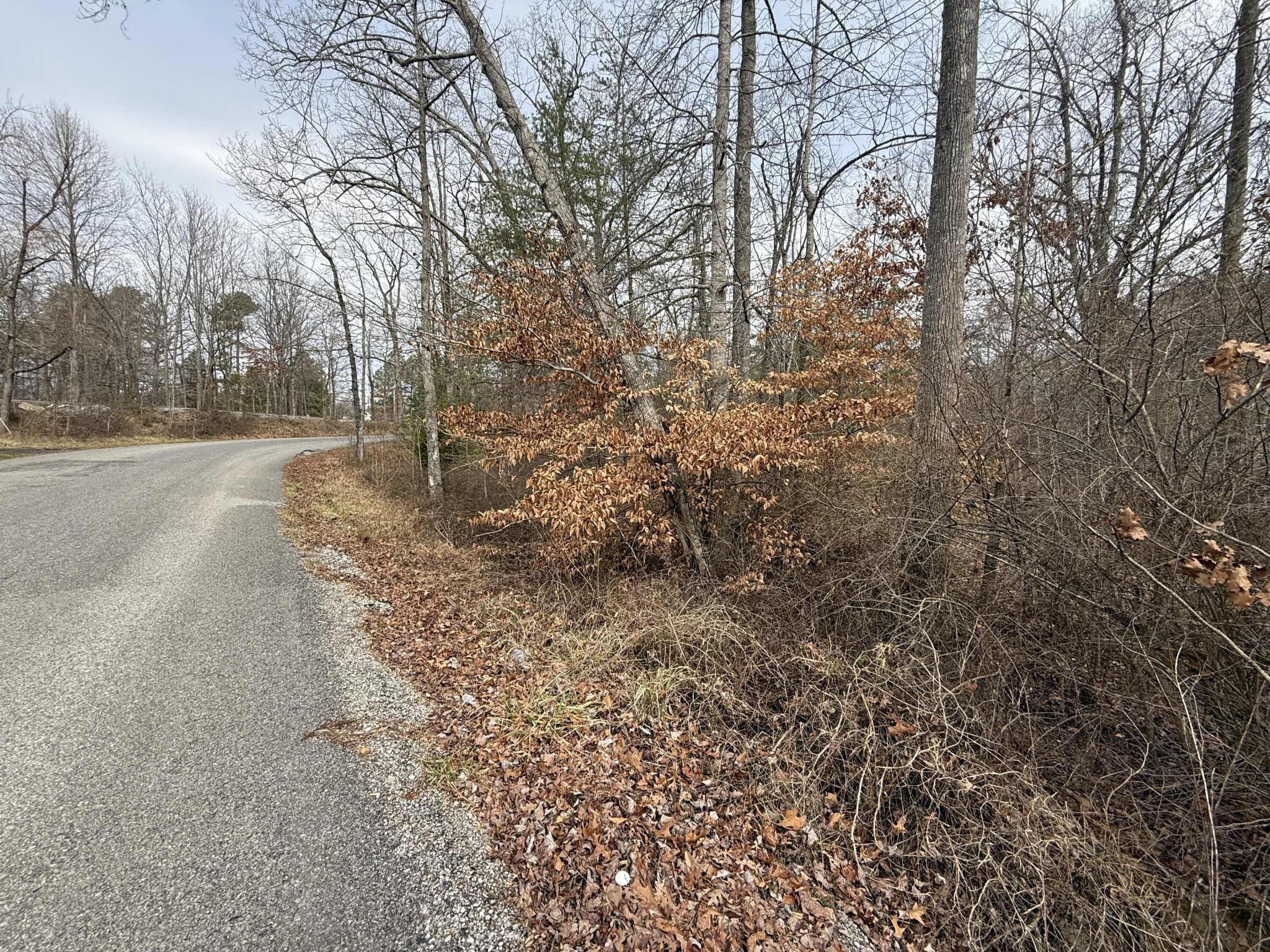 0 Monteagle Falls Road Monteagle, TN 37356 - Photo 30 of 37