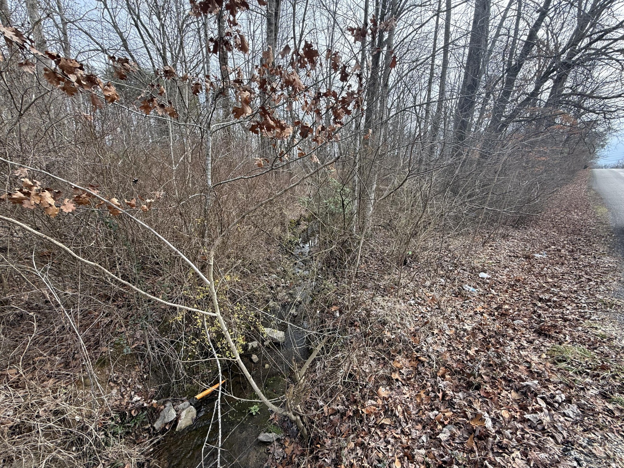 0 Monteagle Falls Road Monteagle, TN 37356 - Photo 31 of 37