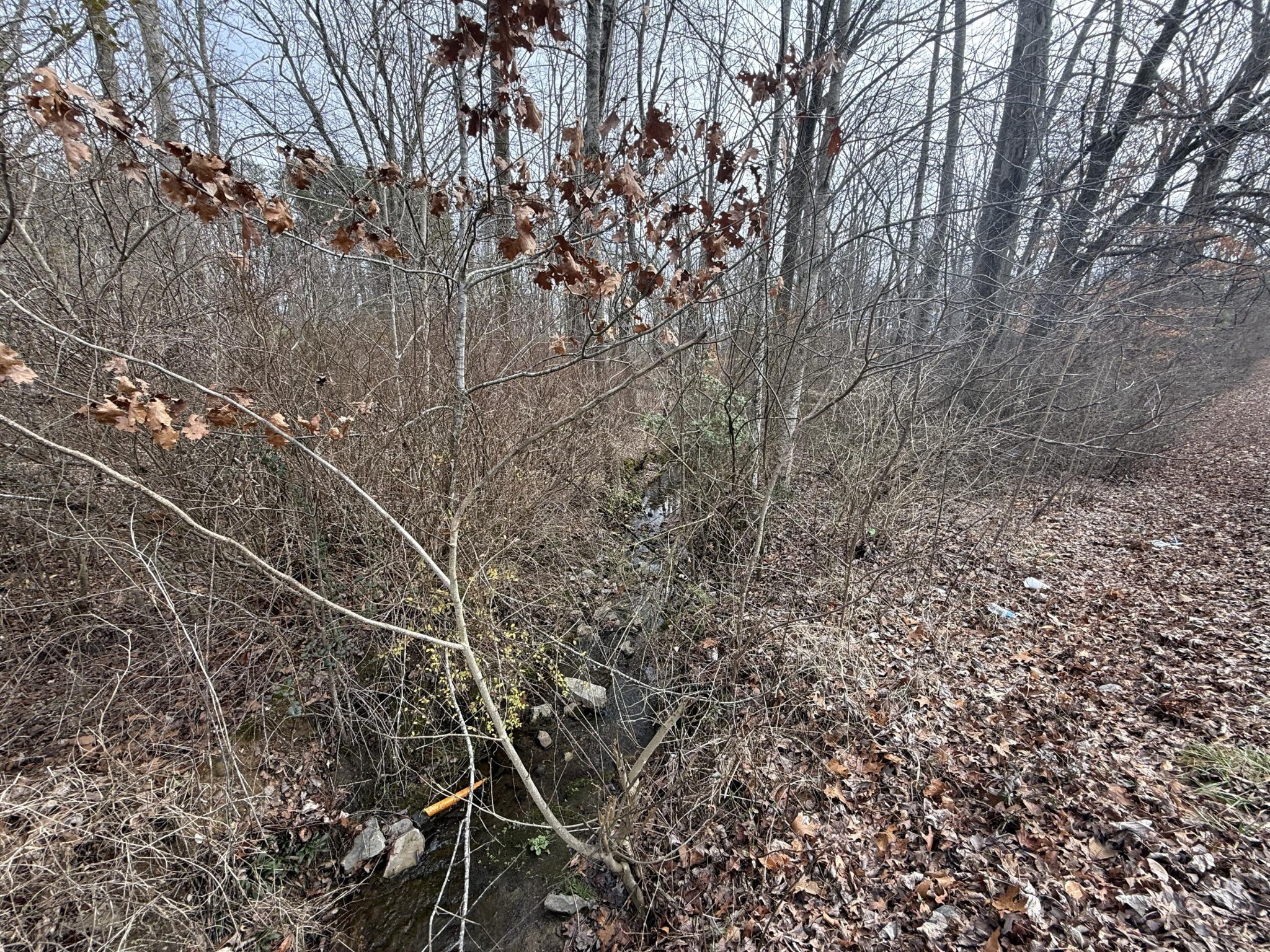 0 Monteagle Falls Road Monteagle, TN 37356 - Photo 32 of 37