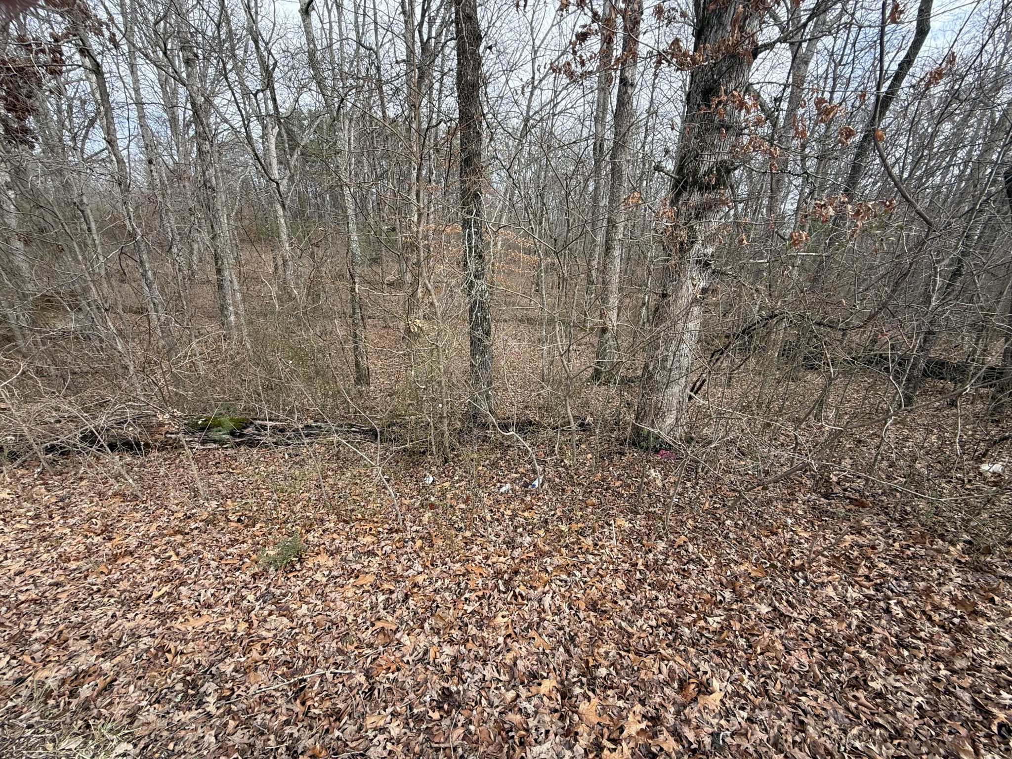 0 Monteagle Falls Road Monteagle, TN 37356 - Photo 33 of 37