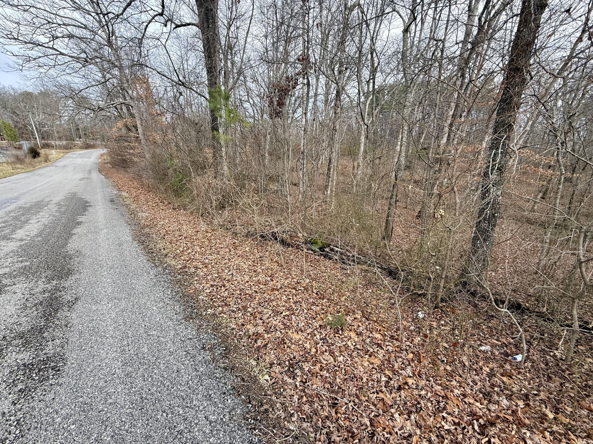 0 Monteagle Falls Road Monteagle, TN 37356 - Photo 34 of 37